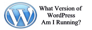 what version of WordPress Am I On