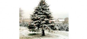 Water Christmas Tree