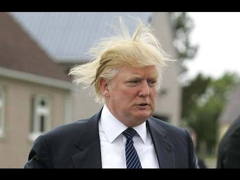 Donald Trump election reaction